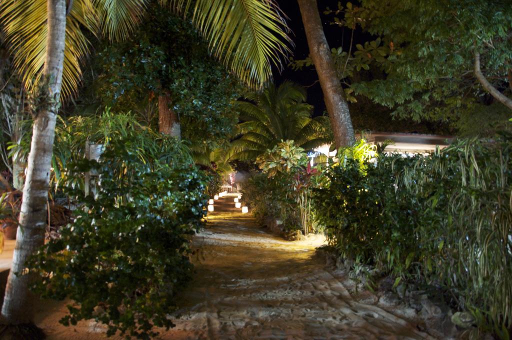 Whistling Bird Hotel Negril Luaran gambar